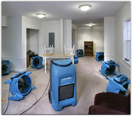 Drying & Dehumidification in South Bradenton, FL