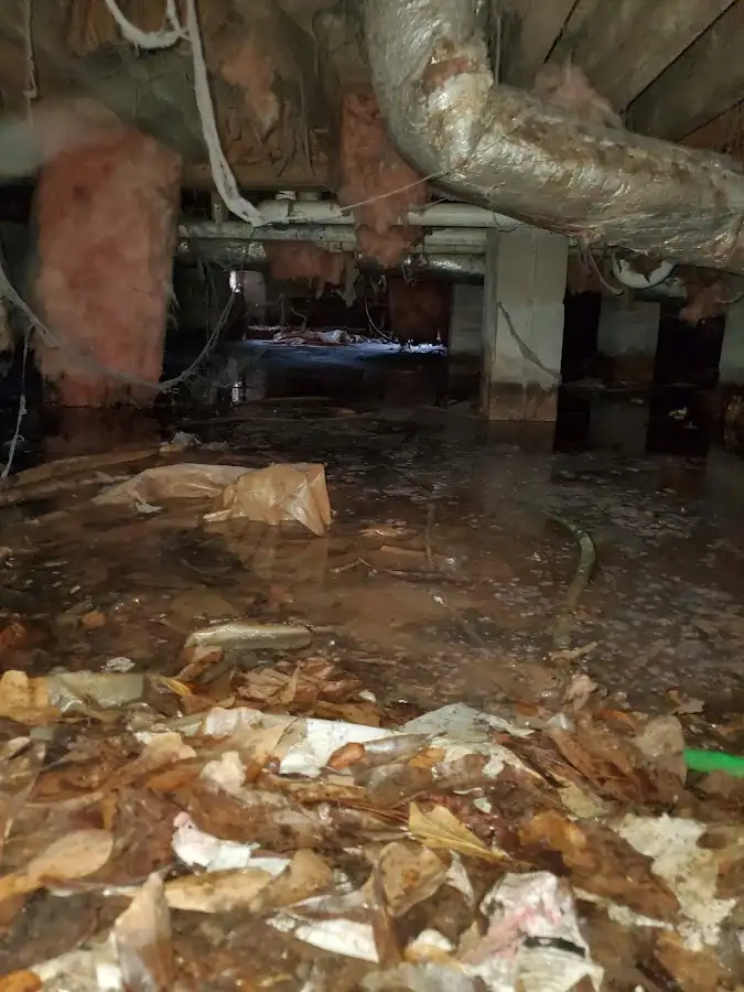 Crawl space flood assessment for Commercial Water Damage Restoration in South Bradenton
