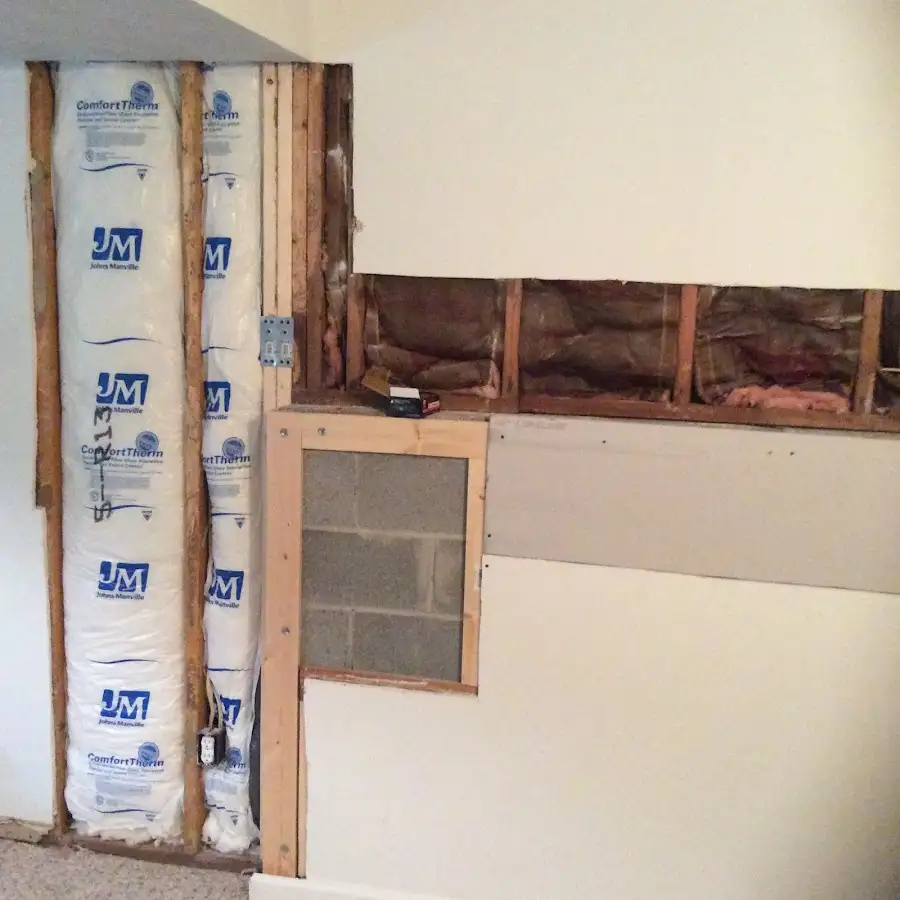 Wall insulation replacement during Odor Removal & Deodorization in South Bradenton